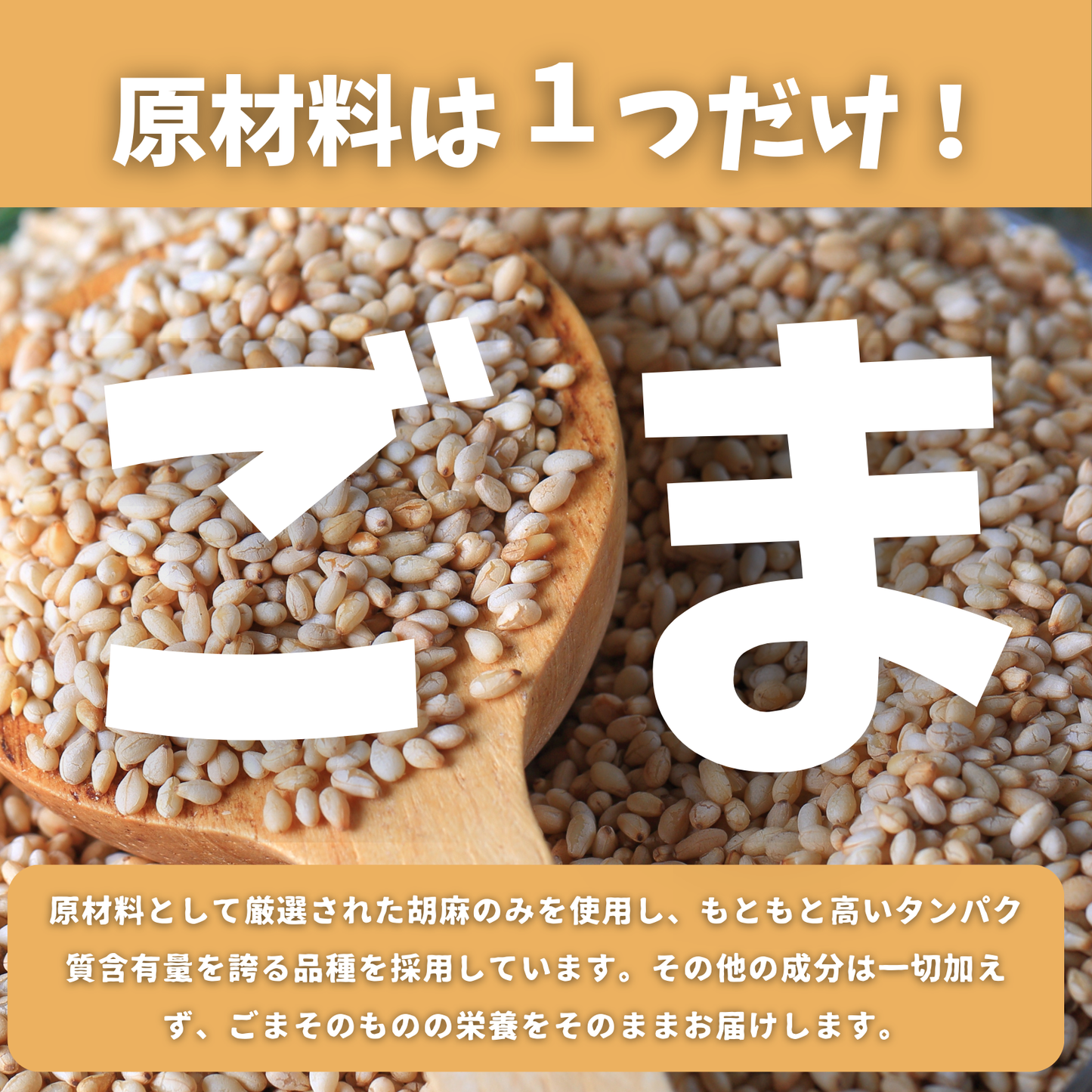 【特別価格】白胡麻プロテイン